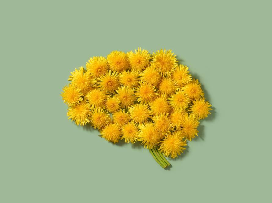 Accueil Clinique De La Douleur Accueil Clinique De La Douleur